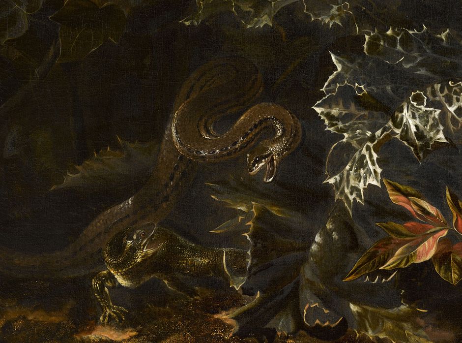 Marseus Van Schrieck - Chardons, écureuil, reptiles et insectes © Musée des beaux-arts de Quimper (Voir légende ci-après)