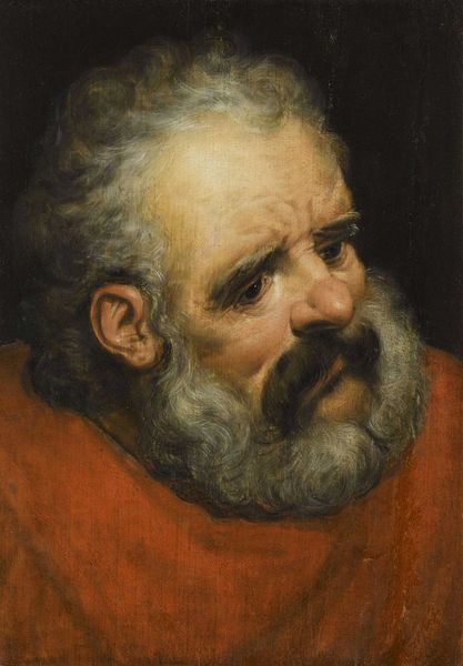 Frans Floris Tête de Vieillard