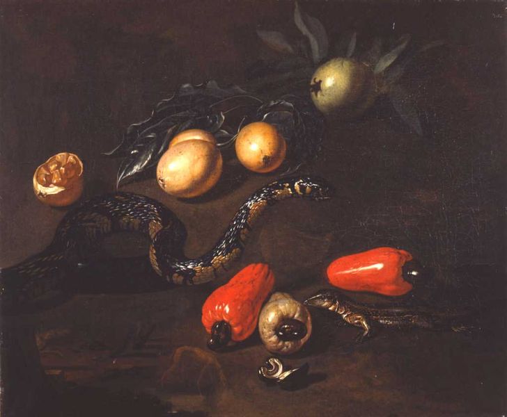 Dirk Valkenburg Fruits du Surinam et reptiles