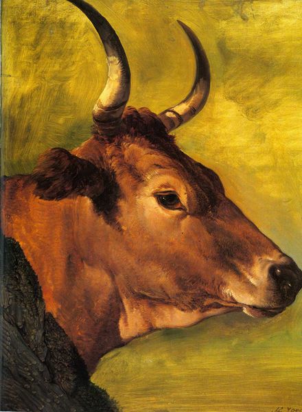 Hendrik Voogd Tête de vache (ou de boeuf) italienne