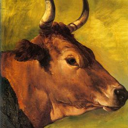 Hendrik Voogd Tête de vache (ou de boeuf) italienne
