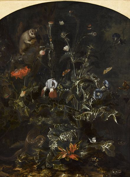 Otto Marseus van Schrieck (vers 1619-1678) - Chardon, écureuil, reptiles et insectes, vers 1660 - Huile sur toile, 1,35 x 1,02 m © Musée des beaux-arts de Quimper
